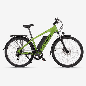 Crazybird C3 Bici elettrica