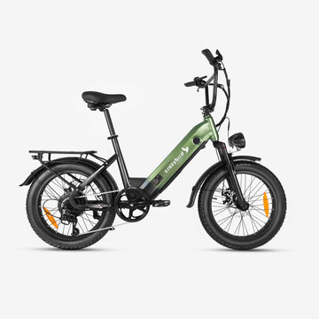 Crazybird CB12 bicicletta elettrico