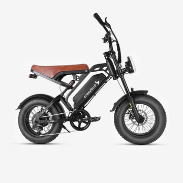 Crazybird CB4 fat bike elettrica