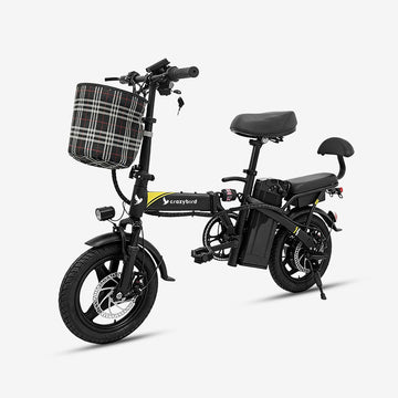 Crazybird CB9 bici elettrica pieghevole