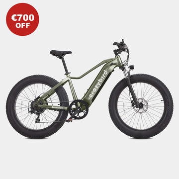 Crazybird - CB60 mountain bike elettrica