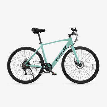 CB20 bicicletta elettrico