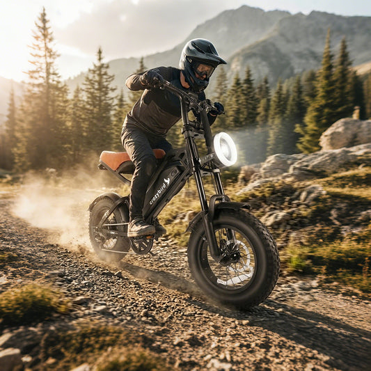 Crazybird CB4 fat bike elettrica