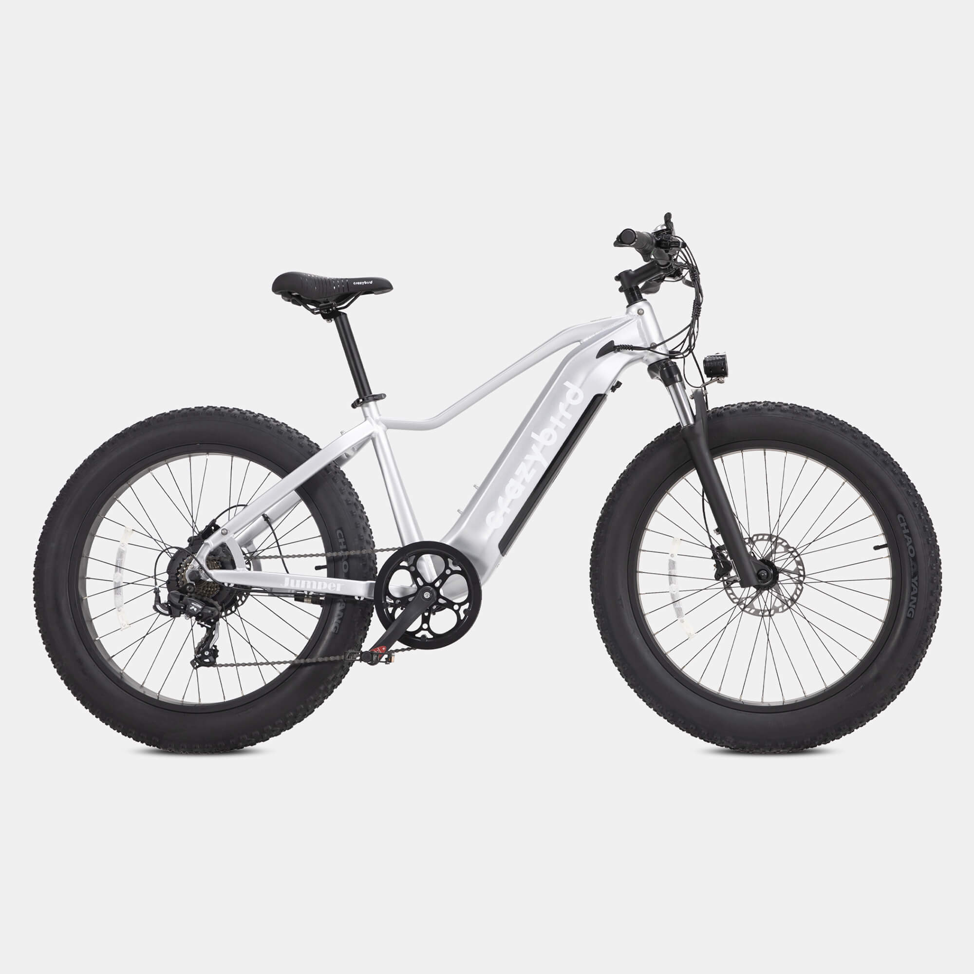 Crazybird-CB60 Bicicletta Elettrica per Adulti con Motore da 750W Ruota  Grassa da 26\